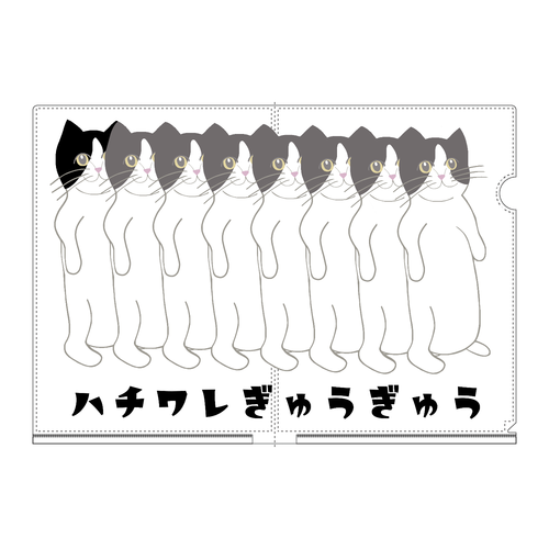 ハチワレぎゅうぎゅう猫 A4フルグラフィッククリアファイル