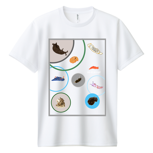 ドライ 大阪湾のウミウシTシャツ Ver.1 (カラー） ドライＴシャツ