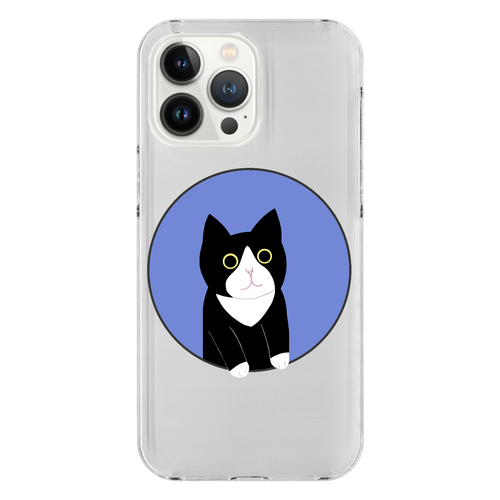 まるの中からハチワレさん iPhone14 Pro Max (透明)