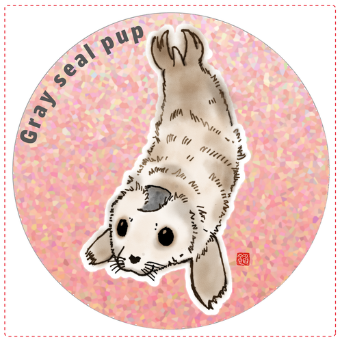 Gray seal pup コインケース