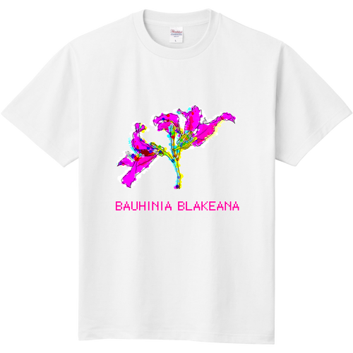 BAUHINIA BLAKEANA 定番Ｔシャツ