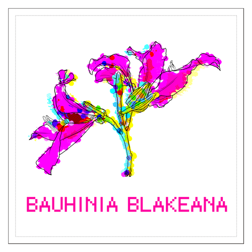 BAUHINIA BLAKEANA  100mmクリアステッカー・シール