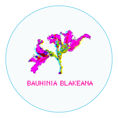 BAUHINIA BLAKEANA アクリルコースター（丸）