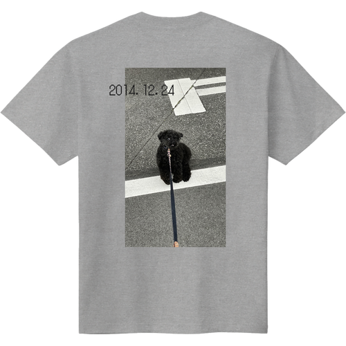 拒否ーﾇ 定番Ｔシャツ