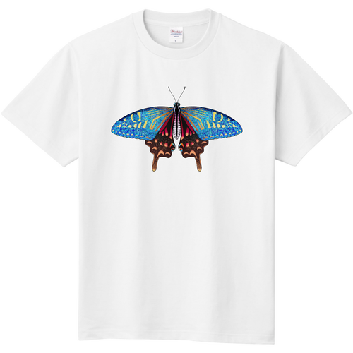 蝶 キッズＴシャツ