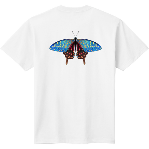 蝶　バックプリント 定番Ｔシャツ