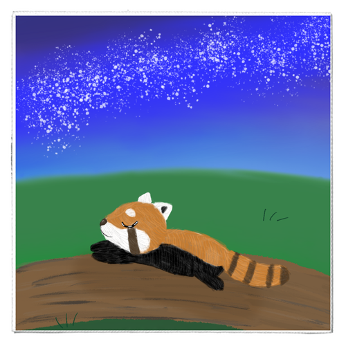 むにゃむにゃレッサーパンダ/夜空・動物 テキスタイルピクチャーボード（S）