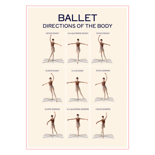 BALLET BODY POSITIONS A4クリアファイル