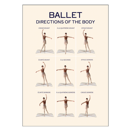 BALLET BODY POSITIONS ポスター Ａ２サイズ