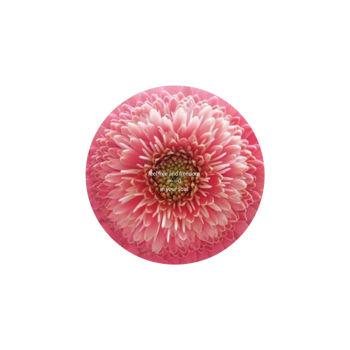 ffaf菊 ホワイトフレークシール（円型16枚）160×160mm
