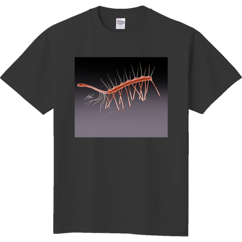 ハルキゲニア 定番Ｔシャツ