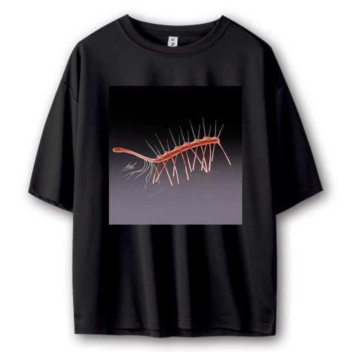 ハルキゲニア ストリートＴシャツ