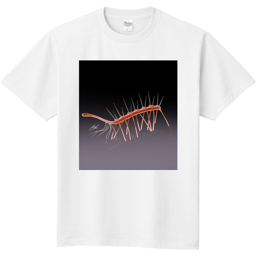 ハルキゲニア キッズＴシャツ