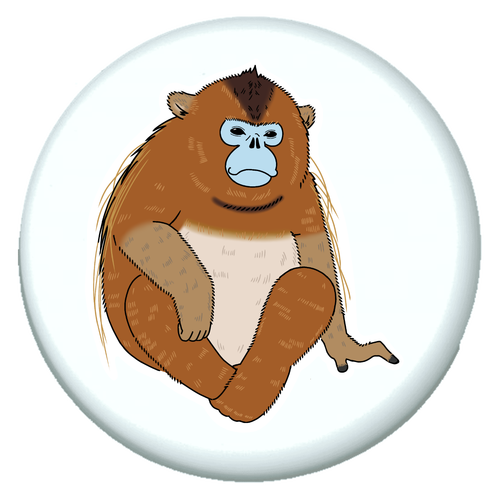 キンシコウ プチ缶ソフト