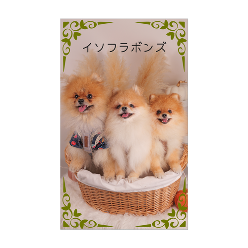 イソフラボンズカード アクリル名刺