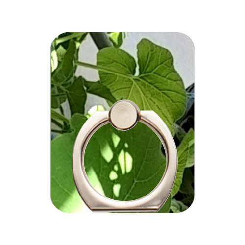 栗かぼちゃの芽吹き スマホリング