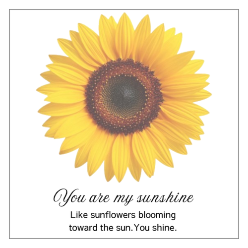 sunflower☆you are my sunshine ワンポイント生地用アイロンステッカー 10cm×10cm