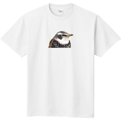 つぐみ 定番Ｔシャツ