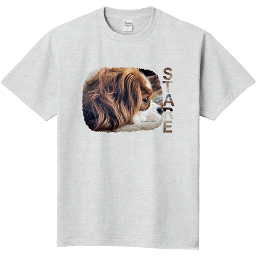 見つめるキャバリアの横顔 定番Ｔシャツ