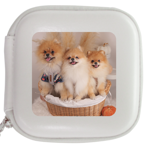 レザースタイルマルチケース レザースタイルマルチケース（S）