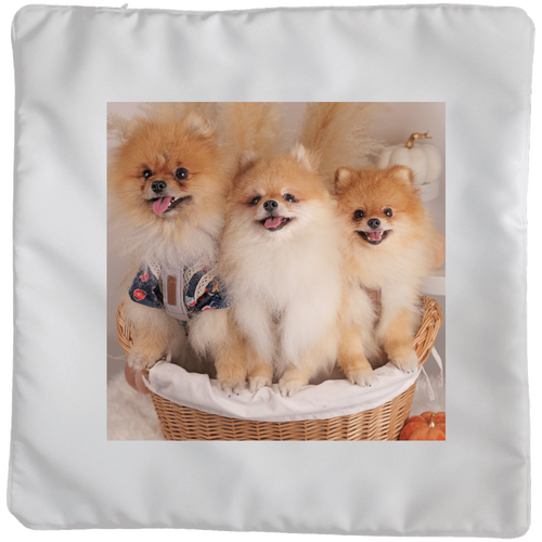 クッション（大） クッション(大)