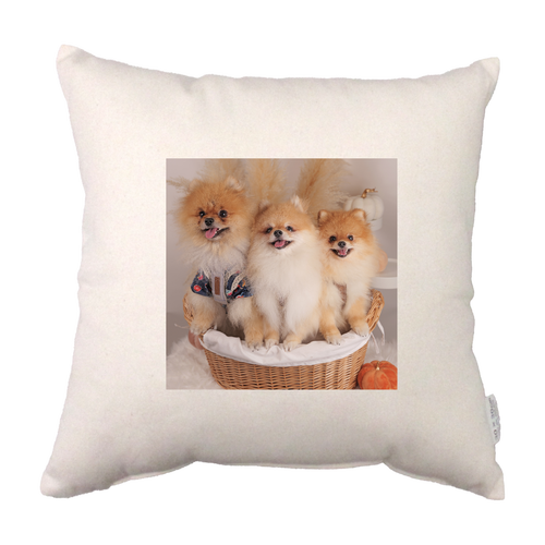 コットンクッション コットンクッション