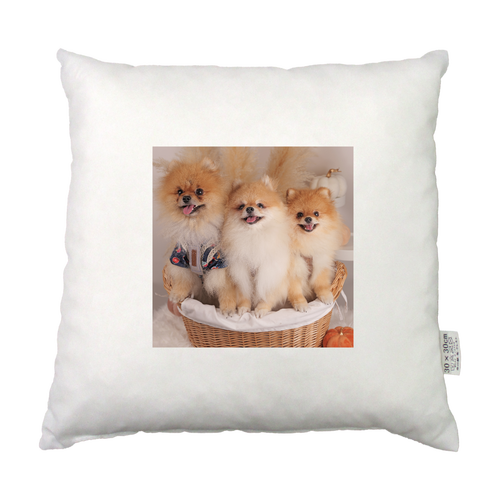 低反発クッション 低反発クッション