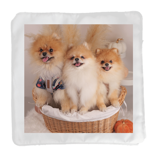 クッション（小） クッション(小)