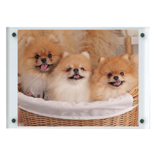 アクリルフォトフレーム アクリルフォトフレーム