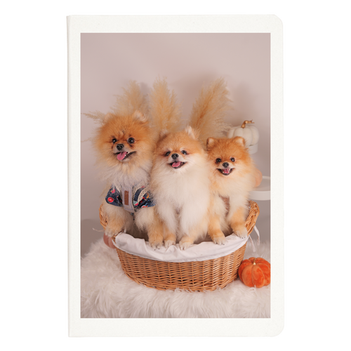 ハードカバーA5ノート ハードカバーA5ノート