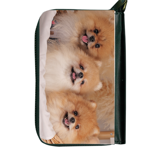 パスケース コイン・パスケース