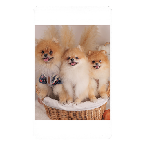 急速充電モバイルバッテリー5000mAh 急速充電モバイルバッテリー5000mAh