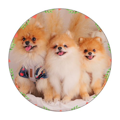 捺印マット(ラウンド) 捺印マット(ラウンド)