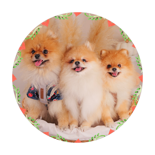 レザーコースター(ラウンド型) レザーコースター(ラウンド型)