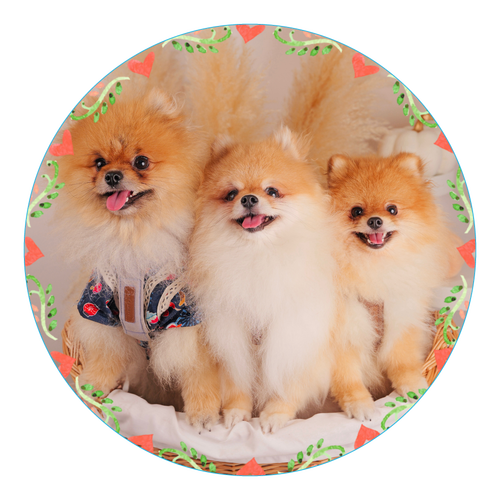 アクリルコースター（丸） アクリルコースター（丸）