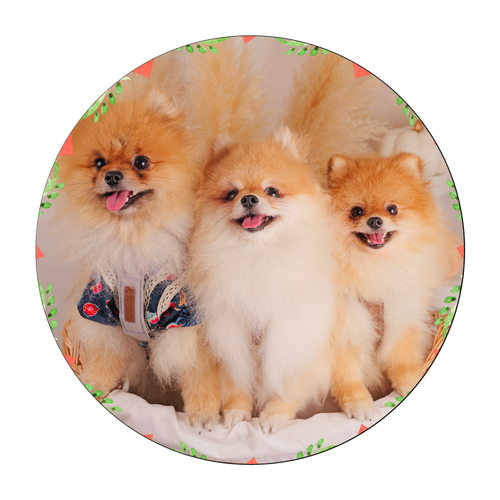 珪藻土コースター (丸) 珪藻土コースター (丸)