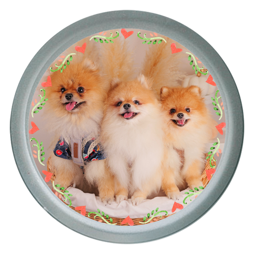 ライティングバッジ　丸形 ライティングバッジ　丸形