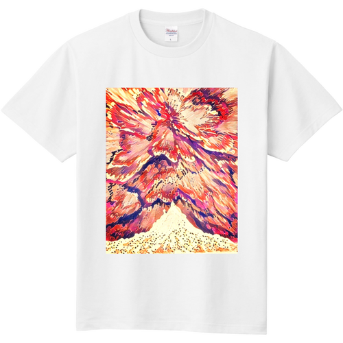 オーロラレッド 定番Ｔシャツ