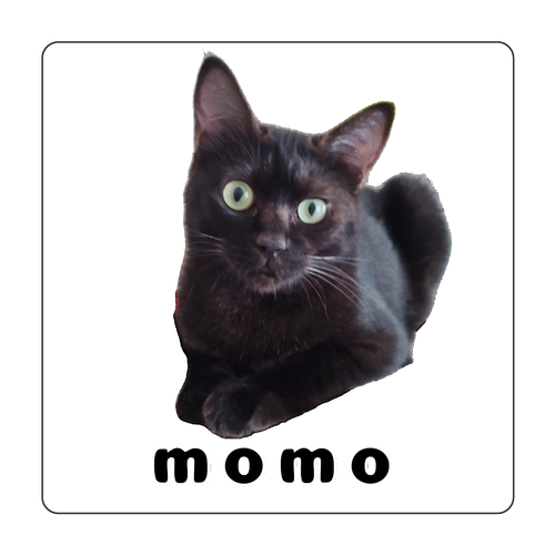 黒ねこももちゃん 珪藻土コースター (四角)