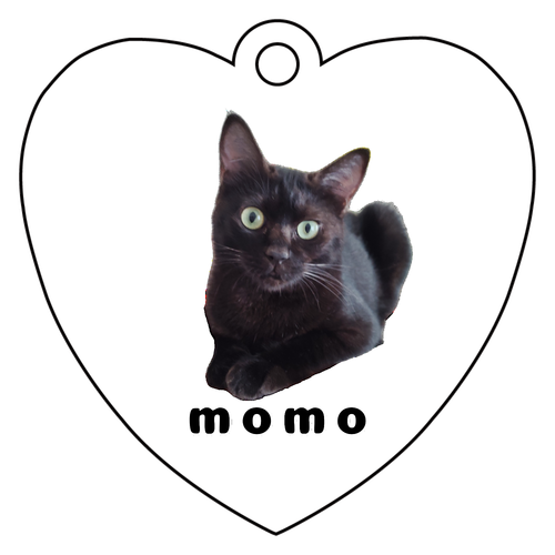 黒ねこももちゃん アクリルキーホルダー　ハート形 (6cm)