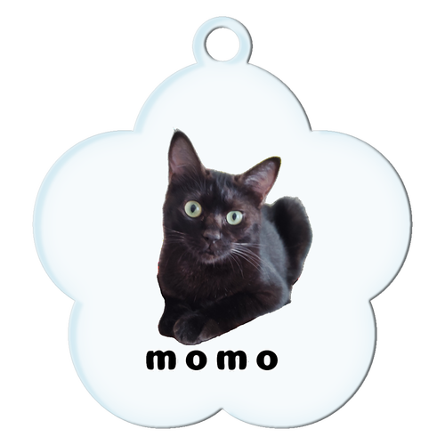 黒ねこももちゃん アクリルキーホルダー花形 (6cm)