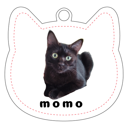 黒ねこももちゃん ピック型アクリルキーホルダー(6cm)