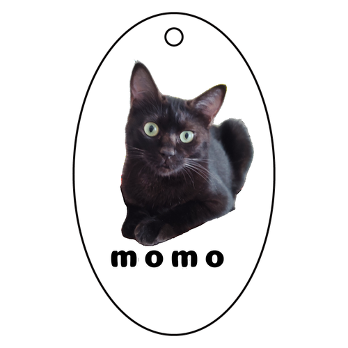 黒ねこももちゃん アクリルキーホルダー　楕円型 (6cm)