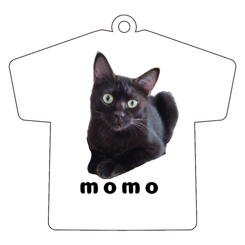 黒ねこももちゃん アクリルキーホルダー Ｔシャツ型 (6cm)