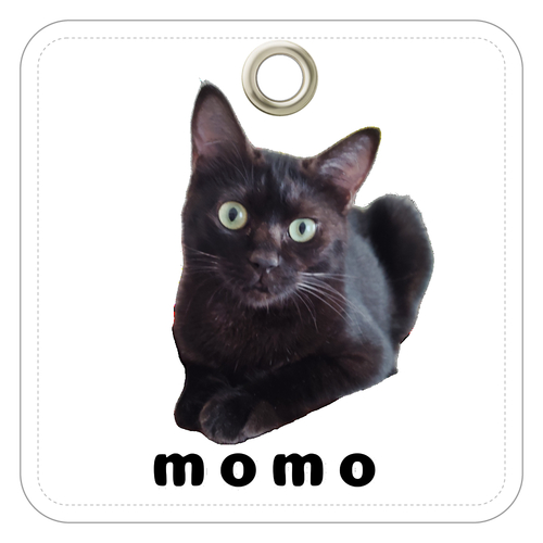 黒ねこももちゃん レザーキーホルダー（四角型）