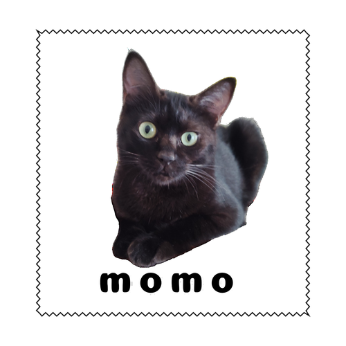 黒ねこももちゃん マイクロファイバーメガネ拭き