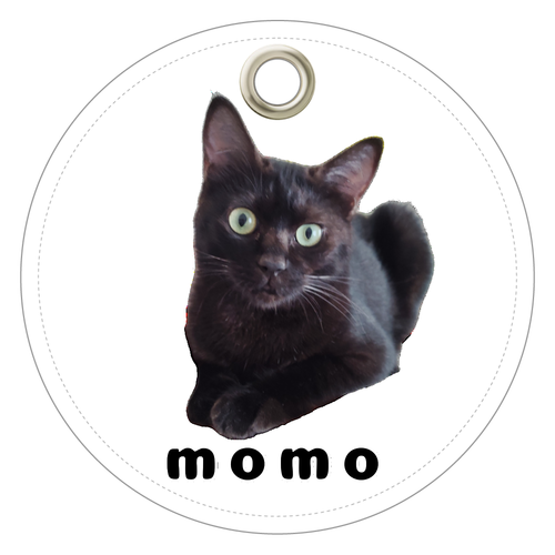 黒ねこももちゃん レザーキーホルダー（丸型）