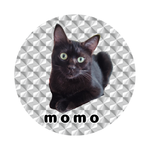 黒ねこももちゃん ホログラムオリジナル缶バッジ(白地無し）（56mm）