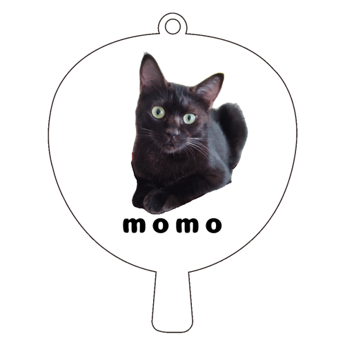 黒ねこももちゃん アクリルキーホルダー うちわ型 (6cm)