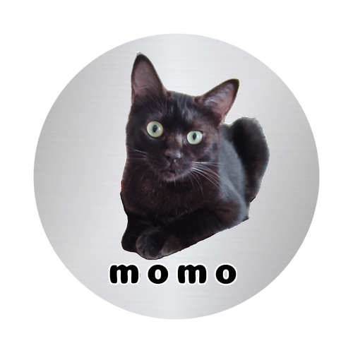 黒ねこももちゃん オリジナル缶バッジ(56mm)